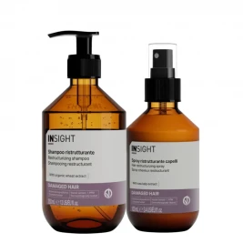 Insight Damaged - Pachet reparare par deteriorat Sh 350ml+Spray 100ml