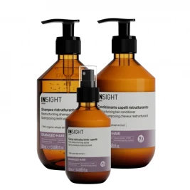 Insight Damaged - Pachet reparare par deteriorat Sh+Bls+Spray (800ml)
